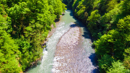 Drone view of the Sochi river gorge with dense forest in sunny summer day, Russia
