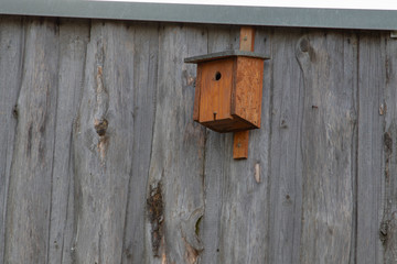 Wooden bird box hanging in front of a wooden wall