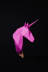 Unicorn - a mythical being symbolizing integrity © dmytrobandak