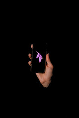 Unicorn - a mythical being symbolizing integrity © dmytrobandak