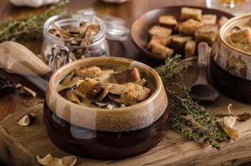 Rustic mushrooms soup