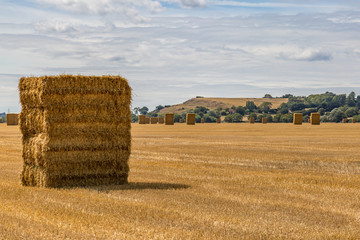 Haystacks at Harvest Time