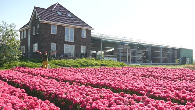 Campi di tulipani in Olanda con uomo felice