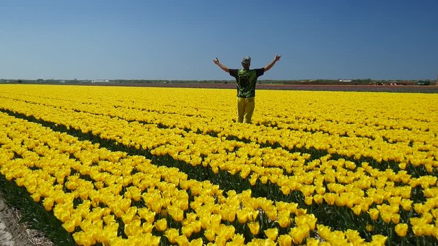 Campi di tulipani in Olanda con uomo felice