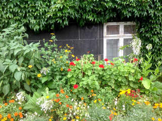 Fototapeta na wymiar Window and garden