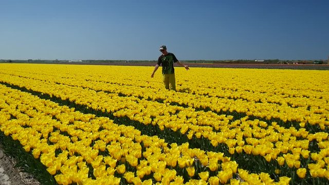 Campi di tulipani in Olanda con uomo felice