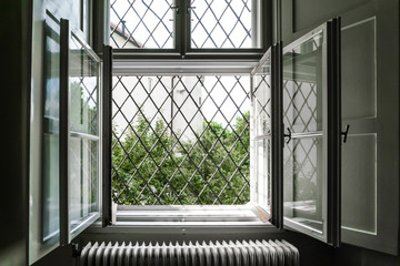 offenes zweiflügeliges altes Fenster mit altem Gitter davor und Blick auf Bäume und Gebäude