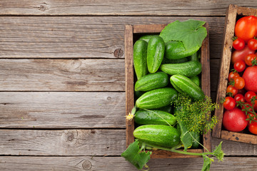 Fresh garden tomatoes and cucumbers