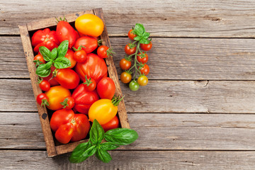 Fresh garden tomatoes