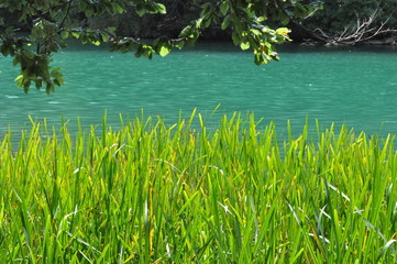 Blick auf einen türkisfarbenen See - Schmaler Luzin