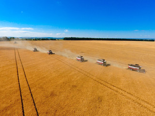 Obraz premium Harvester machine working in field . Combine harvester agriculture machine harvesting golden ripe wheat field. Agriculture. Aerial view. From above.