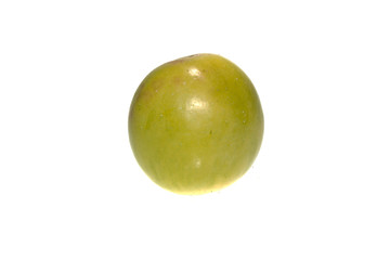 apricot isolated on white background