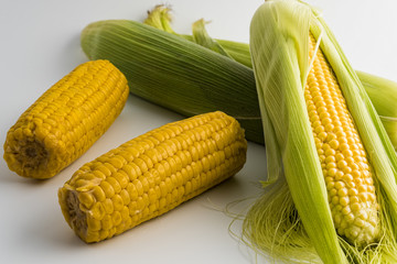 Boiled sweet corn and fresh corn on the cob with leaves on white background