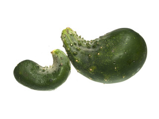 cucumber isolated on white background