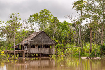 A Thatched Open Air Home on Stilts On the Amazon River, Peru in High Water Season