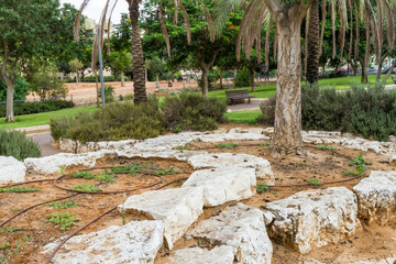Drip irrigation system in park of Israel