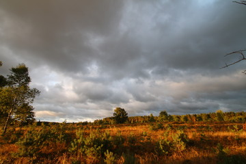 Obraz premium Sonnenaufgang hinter Stürmischen Gewitterwolken.