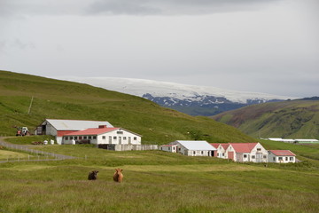 Obraz premium Bauernhof im Süden Islands