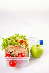 Fresh sandwich and apple for healthy lunch in the plastic lunch box