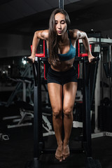 Fototapeta na wymiar Fitness woman doing push-ups on uneven bars in crossfit gym.