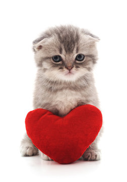 Kitten with toy heart.