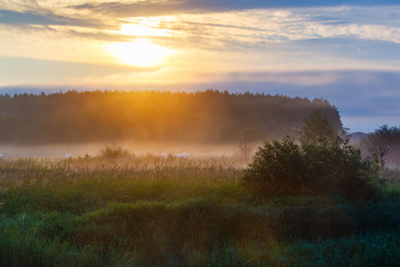 Fototapeta premium Sunbeams streaming through thick clouds. Rural landscape