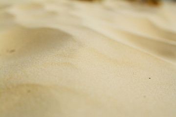 Fototapeta na wymiar Sand texture close up