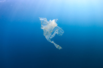 A shredded, discarded plastic bag floating underwater in a tropical ocean creating a hazard to...