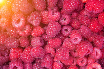 Heap of red raspberries