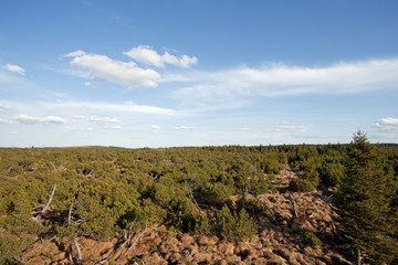 Meadow, Czech mountains