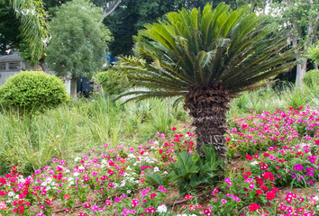 Drip irrigation system in park of Israel