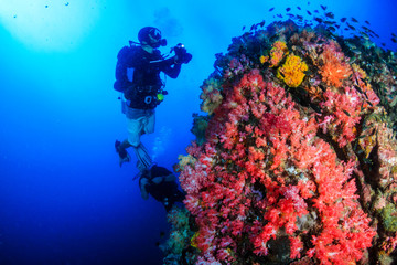 Fototapeta na wymiar SCUBA diver exploring a colorful, healthy tropical coral reef