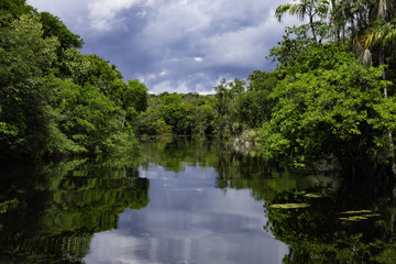 Fototapeta premium Arapiuns river - Santarem - PA