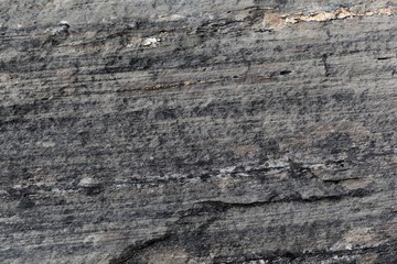 Green schists of Paleozoic age from the Alps