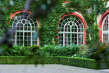 exterior concept of arch wooden windows in back yard green garden environment with different plants...