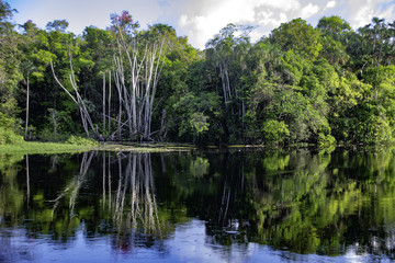 Arapiuns river - Santarem - PA