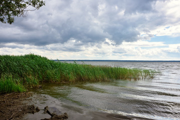 View of Pleshcheyevo lake, morning lake, cane on the lake