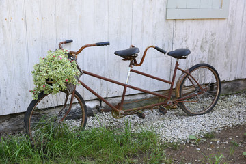 Rusty bicycle on white wall