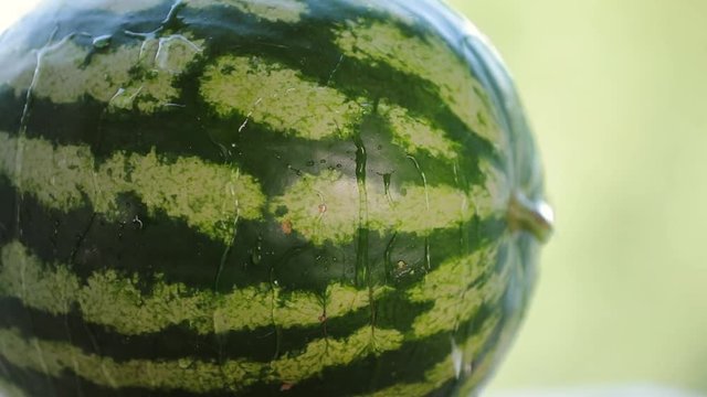 Pouring water on a fresh ripe watermelon in slowmotion slower at 5x