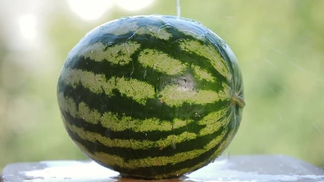 Pouring water on a fresh ripe watermelon in slowmotion slower at 5x