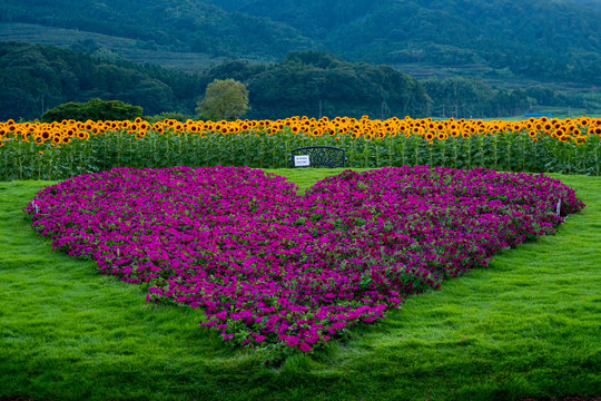 51 Best 上堰潟公園 Images Stock Photos Vectors Adobe Stock 51 Best 上堰潟公園 Images Stock Photos Vectors Adobe Stock