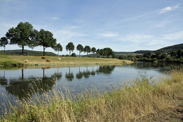 Unterwegs an der Weser zwischen Polle und Bodenwerder