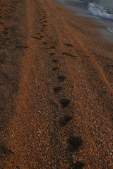 crossing steps on beach