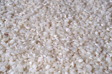 Uncooked Rice Texture. Raw food close up. fresh