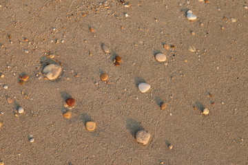 pebbles on beach