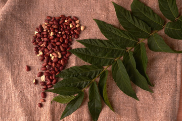 walnut peanut scattered in the form of a continent north america on sackcloth background. Space for...