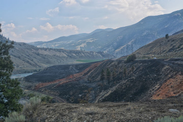 Wildfire destruction along the Thompson River north of Spence Bridge