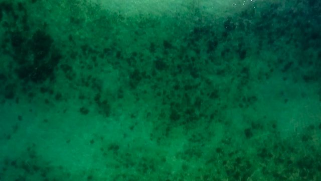 Aerial view of a coral reef filmed by a drone near the beach. HD video that make you want to swim