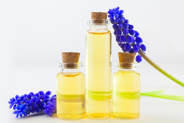 Essential oil of muscari flower on a table in beautiful bottle