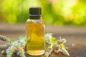 mint essential oil in  beautiful bottle on table